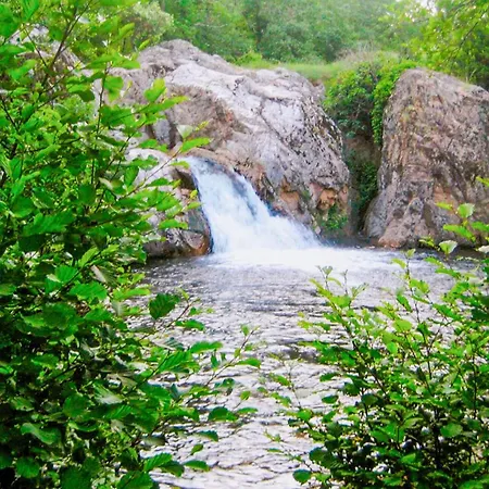 Pet Friendly In With Private Swimming Pool, Be Inside Or Outside Holiday home